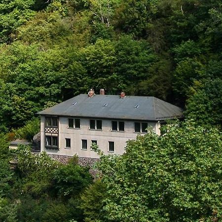 Vila Haus Am Berg Bad Bertrich Exteriér fotografie