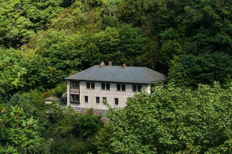 Vila Haus Am Berg Bad Bertrich Exteriér fotografie