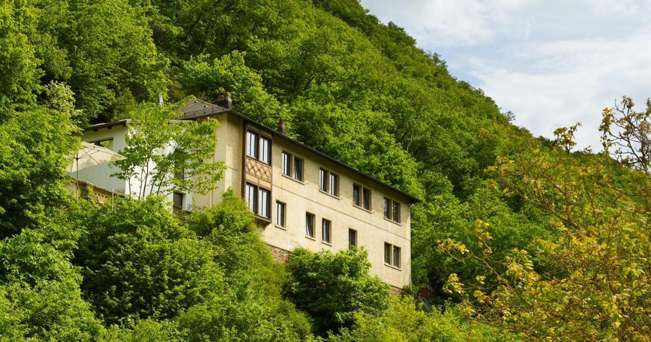 Vila Haus Am Berg Bad Bertrich Exteriér fotografie